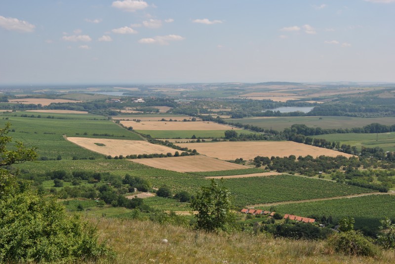 pepajs.cz